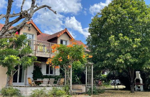 Le Clos des Trois Provinces, Zoo de Beauval - Foto 48