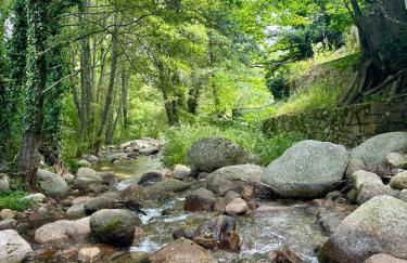 Luna de Gredos - Dormitorios con baño en suite - Foto 8