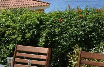 Panoramic Seaview Maisonette with Garden - Photo 57