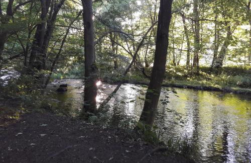 Alte Forsterei - Foto 11