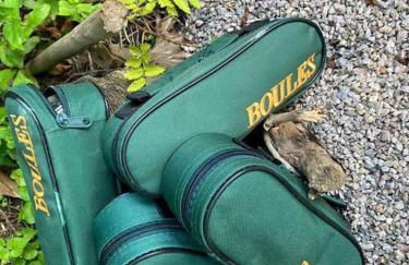 Gite l'Échapée Belle dans les Vosges - Foto 23