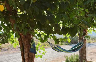 La Antigua Estación - Río Mundo Agramón - Foto 7