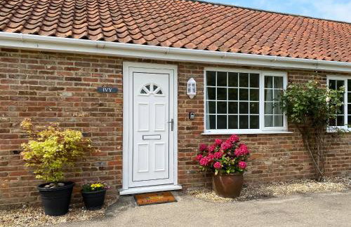 Ivy - Uk47373 - Foto 9