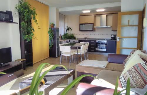 Apartamentos la Pasarela - Foto 4