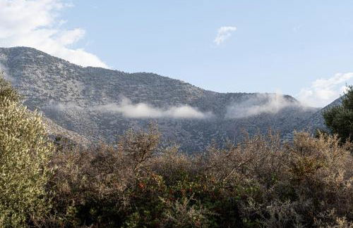 Elpis Studio Apartments - Foto 54