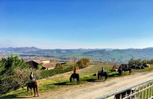 Cantina Visconti - Agriturismo - Photo 17