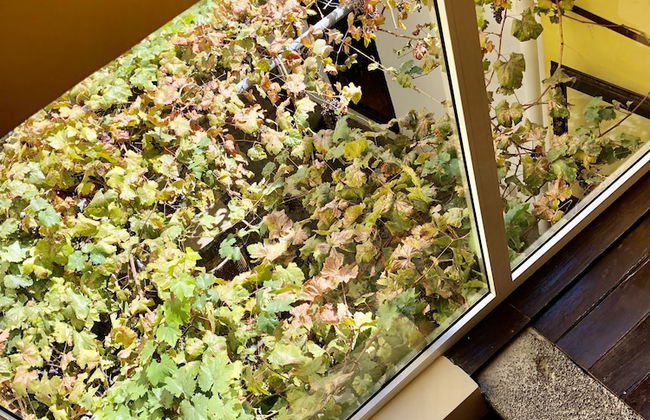 Hotel Rural Vilaflor - Photo 9