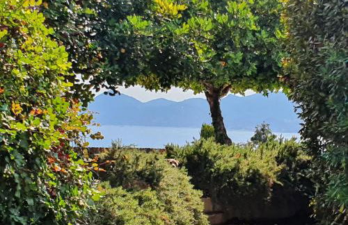 Haus mit Garten über der Bucht von Cannes - Foto 7