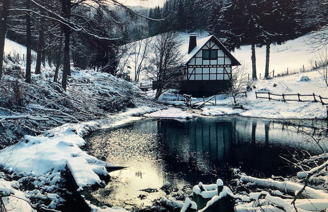 Large House in Winterberg in the Sauerland Region - Foto 62