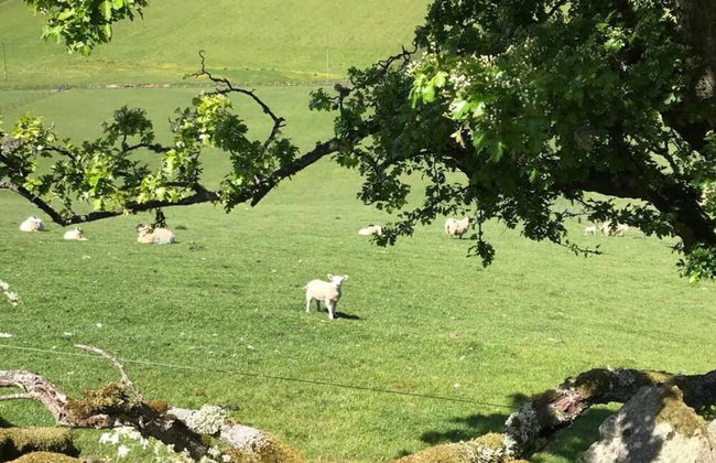 Stunning Luxury Duplex With Hot Tub and Aircon - Foto 48