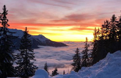 La Perle des Alpes C10 Apart.4* #Yolo Alp Home - Foto 36