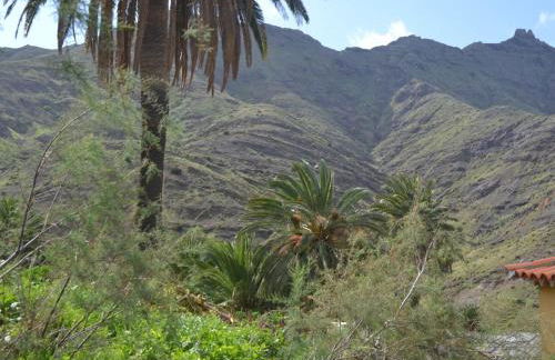 Casa Los Palmeros Perdomo - Foto 46