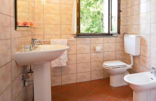 Agriturismo Il Colletto - Foto 14