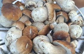 La Rotonda - Foto 41