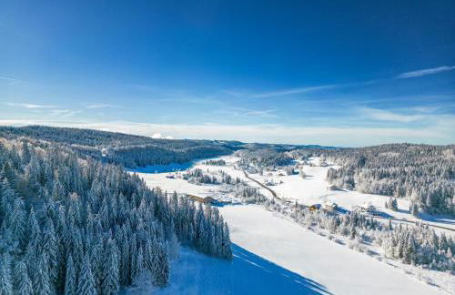 Les Rousses Du Lac - Foto 30