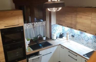 DoMarka całoroczny dom w Bieszczadach - Foto 18