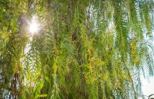 Design&Art Seafront Villa - Foto 80