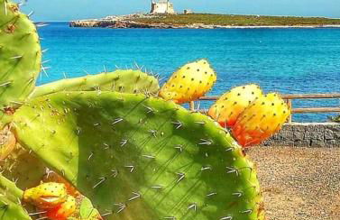 Casa Guttuso 1 - Foto 30