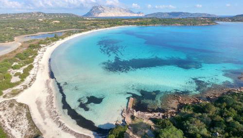 ISS Travel, San Teodoro 1 - 100 m from Cala d'Ambra Beach - Foto 4
