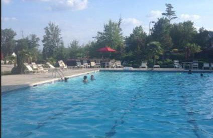 Deck, BBQ Grill, Backyard Fire Pit, Pool, Jacuzzi Tub, 65 inch TV - Foto 24