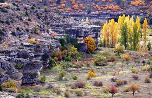 Biosfera Suites - Foto 17