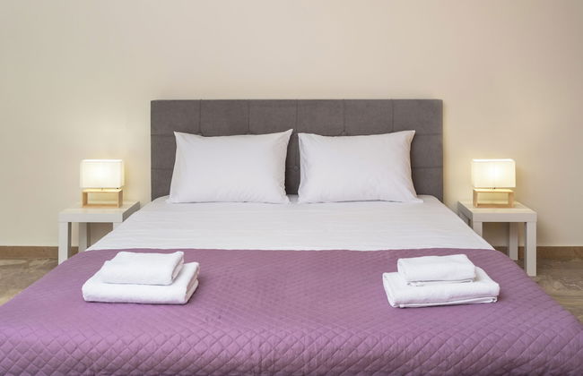 Dodonis BLD - Foto 19