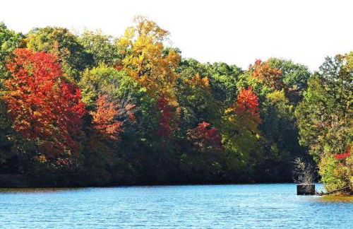 Room 20 mins to U of M - Foto 28