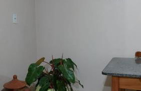 Acomodação do Viveiro Bela Flor - Photo 24