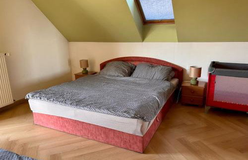 Baranie Wzgórze Ustroń Basen Sauna Plac Zabaw - Foto 63