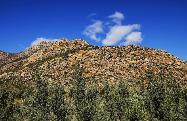 Kogman and Keisie Guest Farm - Foto 61