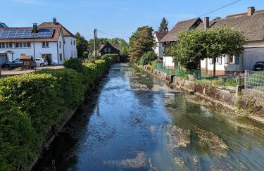 Badischer Neubau-Ruhe-Kunst-Natur - Foto 59