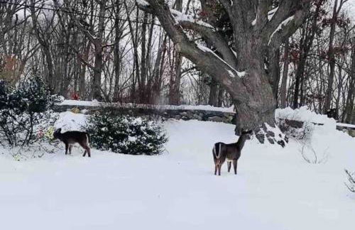 Mountain Vista Luxury Retreat! - Foto 50