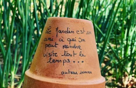 Gîte Alexandra - Photo 18