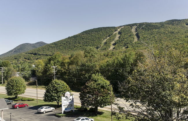 The Nordic Inn a Condominium Resort - Photo 37