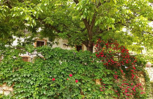 Cortijo Ramon Petra - Foto 36