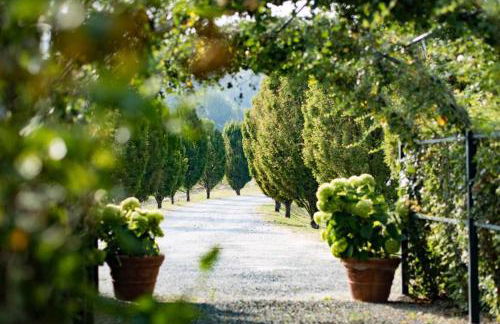 La Meirana - Cottage delle Vigne - Foto 35