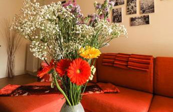 Rivacanze Apartments - Foto 38