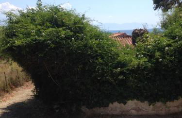 Villa Nelly by the sea - Foto 13