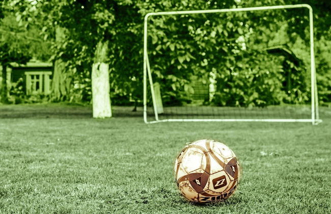 Comfortable Holiday Home in the Middle of a Forest - Photo 30