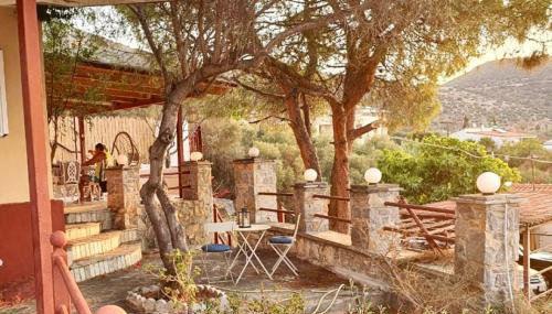 Alexander's - Foto 5, Garden, Garden view