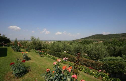 Agriturismo Cortoreggio - Foto 51