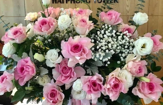 Hai Phong Tower - Photo 31