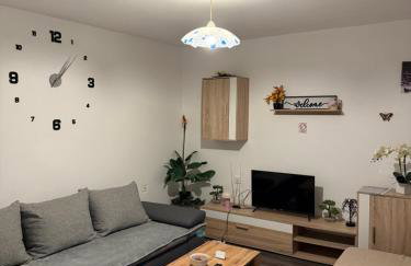 Apartman Tina - Photo 10