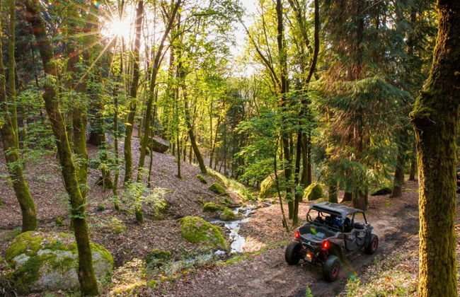 Tour de buggy por Arcos de Valdevez - Foto 6
