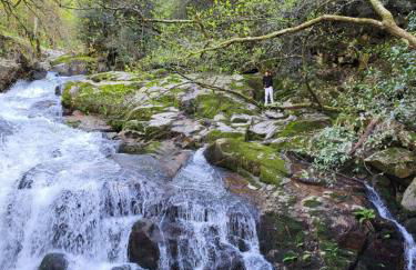 Douro Studio - Foto 13