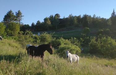 Maison de village, piscine, Colorado - Foto 8