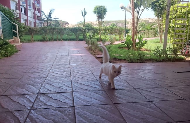 Artistica Suite - La Siesta - Foto 35