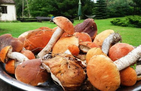 Ostoja Szmana - Foto 21