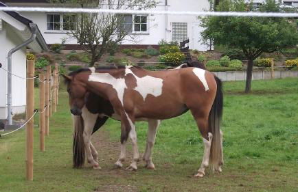 Gottschlich Apartment Schmallenberg - Foto 9