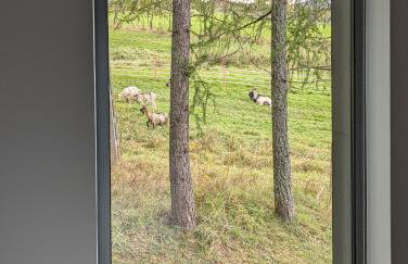 Korona Bieszczad Premium Apartments - Foto 146